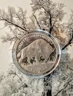 1 oz Fine Silver Round Buffalo/Incused Indian