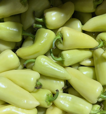 Chile Caribe Medium 1 Lbs from Mexico Fresh
