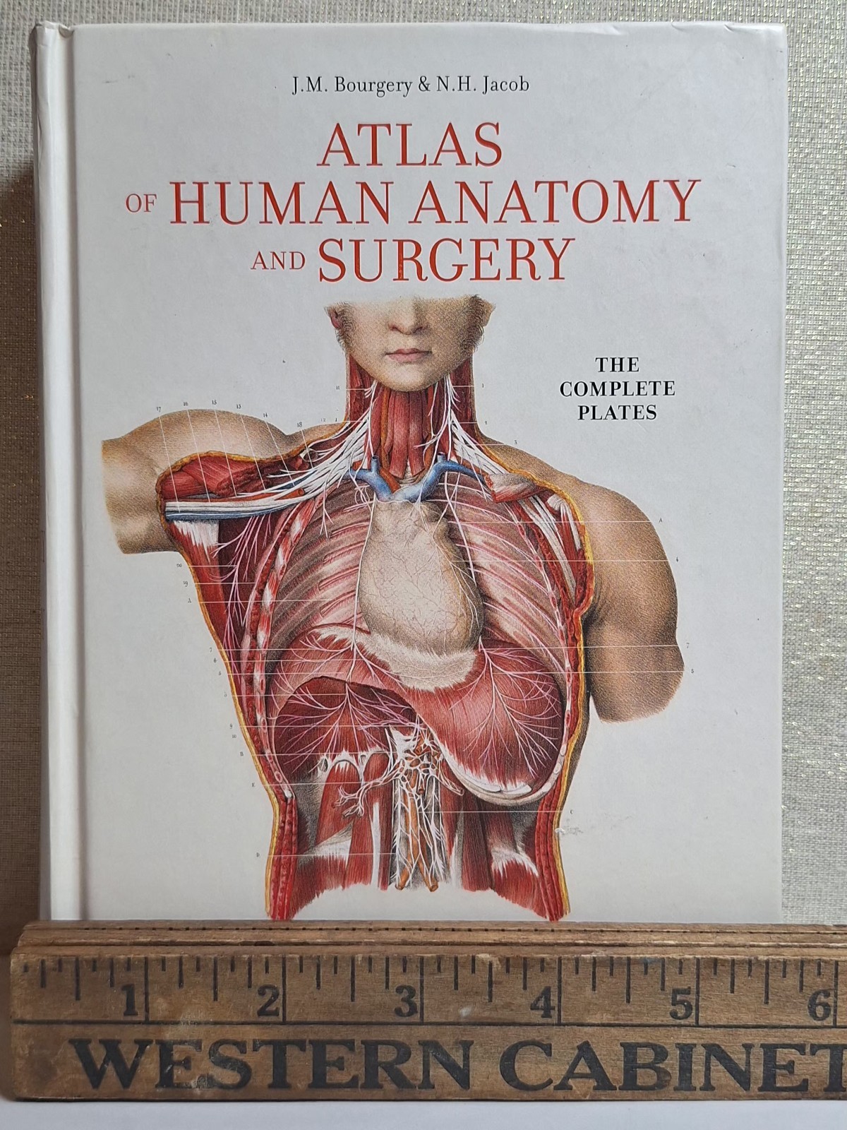 Taschen Atlas Of Human Anatomy And Surgery, 5.75