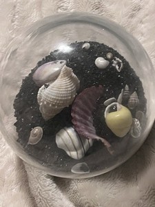 Black Sand Art Seashells Globe