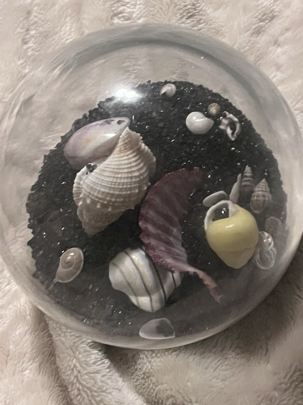 Black Sand Art Seashells Globe