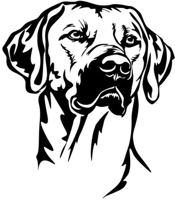 RHODESIAN RIDGEBACK Aufkleber -  Autoaufkleber - sticker - Ridgeback Kopf #72 - Bild 1 von 3