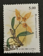 Sri Lanka: 1994 - 60th Anniversary Orchid Circle of Ceylon - 5.00R B. wightii