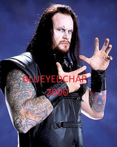 THE UNDERTAKER WRESTLER 8 X10 WRESTLING PHOTO WWF | eBay