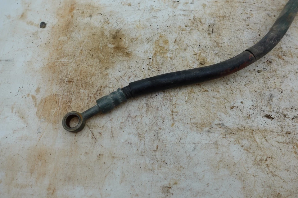 Yamaha Big Bear 400 2004 líneas de freno Foto 4 de 4