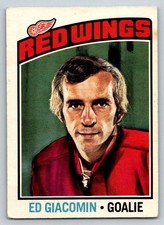 1976-77 O-Pee-Chee #160 Ed Giacomin Low Grade (ref 215979)