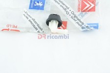 Lunette arrière Citroen C4