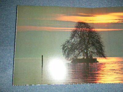 YES Japan 1977 P-10304A NM LP GOING FOR THE ONE | eBay