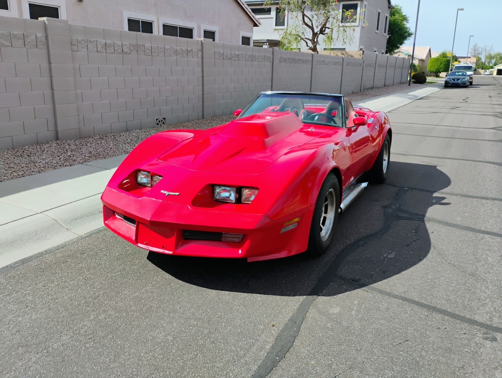 1980 Red Chevrolet Corvette   | C3 Corvette Photo 2