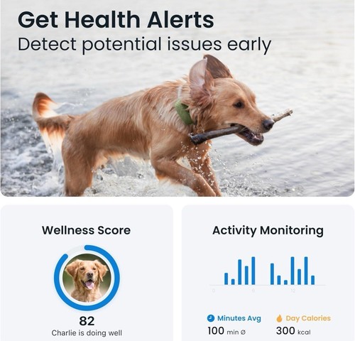 Tractive XL GPS Rastreador de Perros, Hasta 1 Mes de Batería, Líder del Mercado Mundial - Imagen 3 de 5