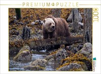 Calvendo Puzzle Erste Nahrungssuche | 1000 Teile Lege-GrößE 64X48Cm Foto-Puzzle