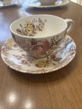 vintage Nasco Rose Arbor Brown Floral Transferware Cup And Saucer Set
