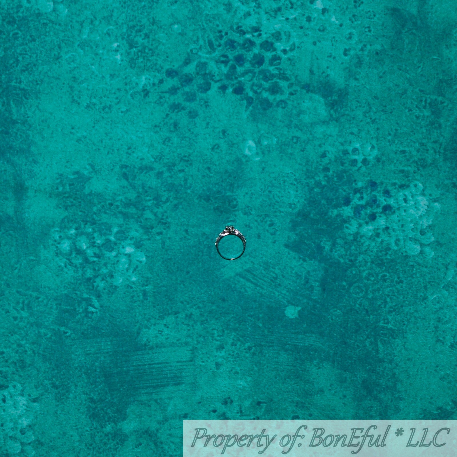 Picture 8 of 11