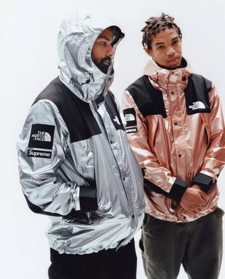 Supreme The North Face Metallic Mountain Parka Silver L 18ss 美品-