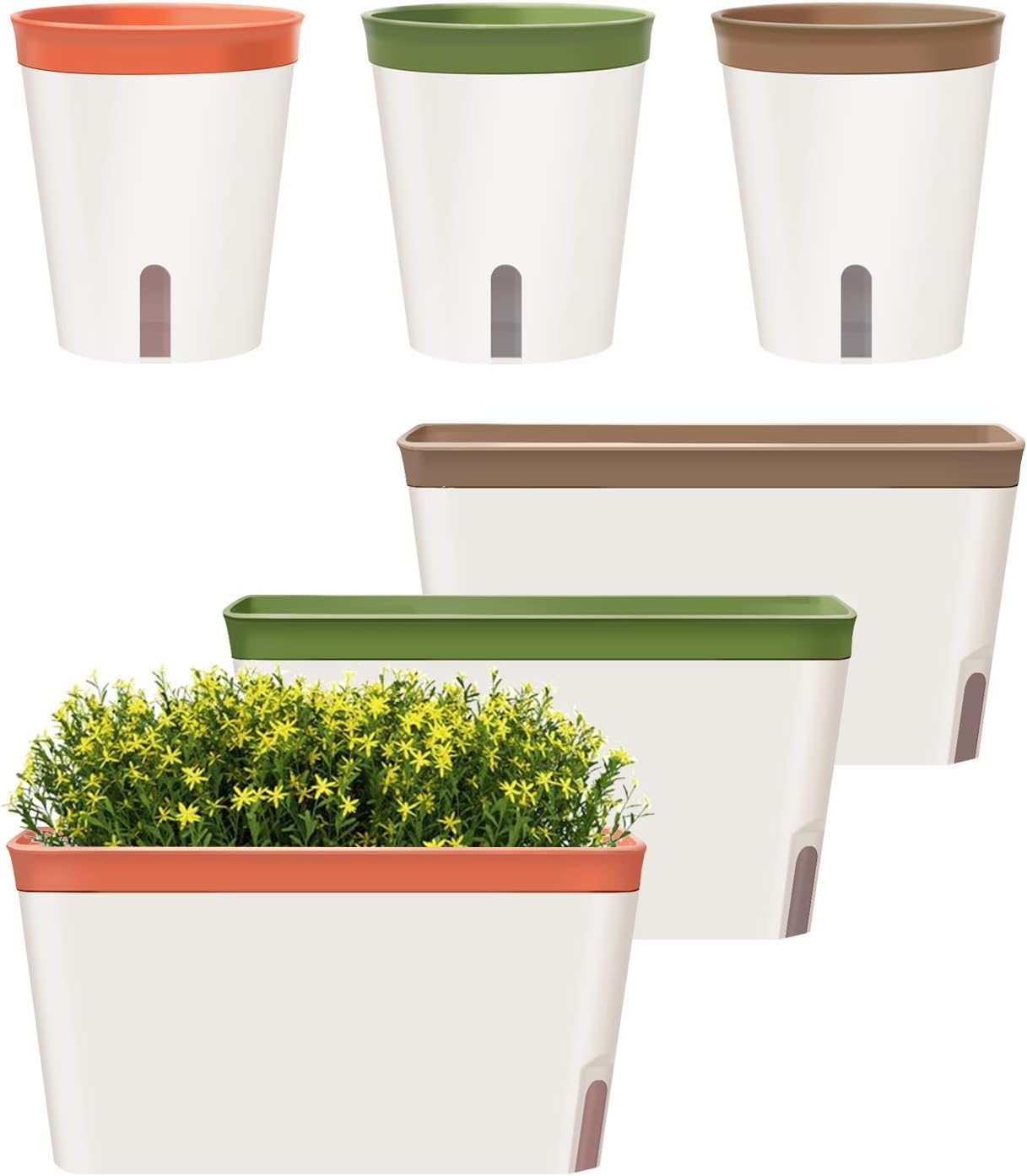 Self Watering Window Box Set of 6 for Indoor Plants by Gardenbasix