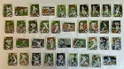 New York Yankees 2021 Topps Series 1, 2, & Update Base Team Set *38 cards*
