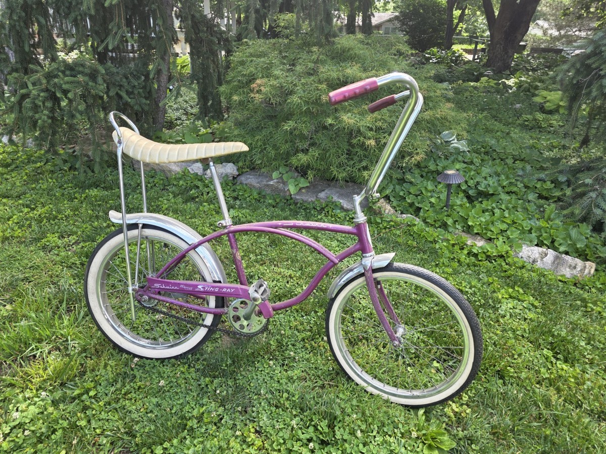 1966 Schwinn Sting-ray Deluxe ORIGINAL SURVIVOR Silverglow 2 Speed