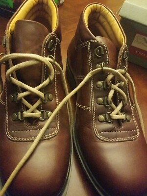 Cole Haan Men's Water Proof Brown Kilimanjaro  Hiker Boot NOS 8 1/2 M 