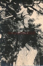 Foto, Sdt. der NVA, Grenzsoldat auf R&uuml;gen, Sdt. bew&auml;ltigt einen Baum, 5026-778