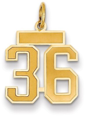 14K Yellow Gold Small Satin Number 36 Charm