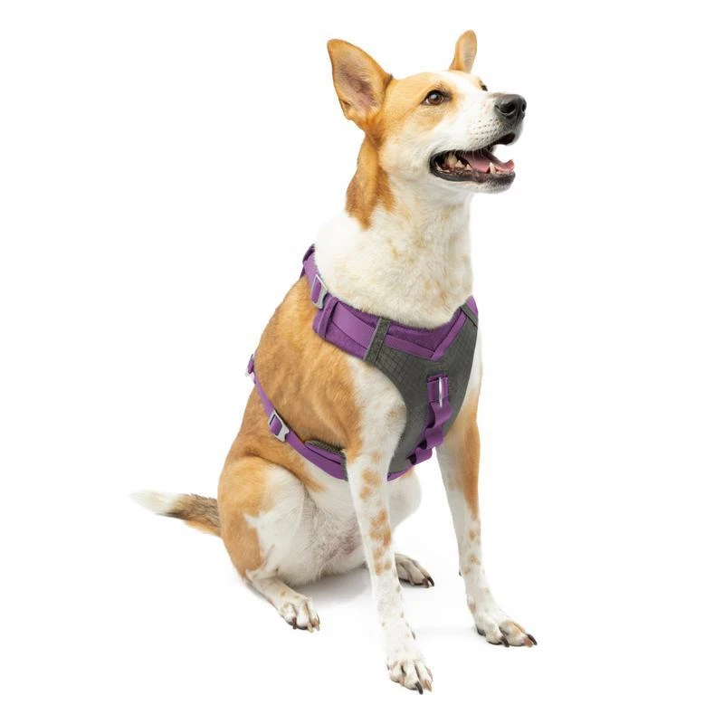 Dog Harness No Pull Reflective Padded Vest Hiking Running Control Handle New Dog Harness No Pull Reflective Padded Vest Hiking Running Control Handle New