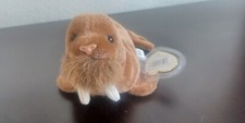 Ty Beanie Baby Paul The Walrus 1999. Mint