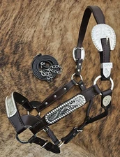 Silver Show Halter - Dark Oil - Congress Cut - Horse Size - Matching Lead Shank