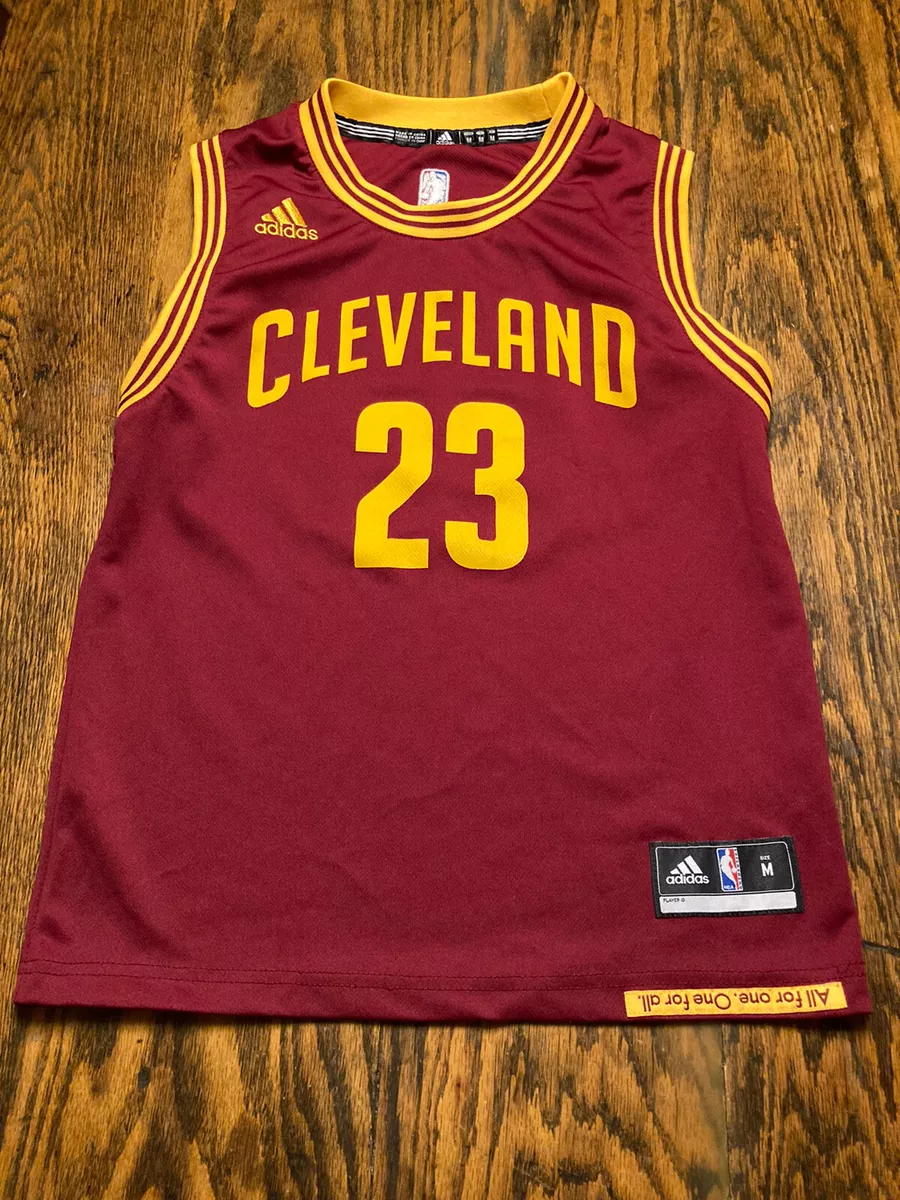 Lebron Youth Lakers Jersey 2024 www.fswd