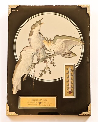 1930s Advertising Mirror with Thermometer feat Cockatiels   Fredonia, ND Bar