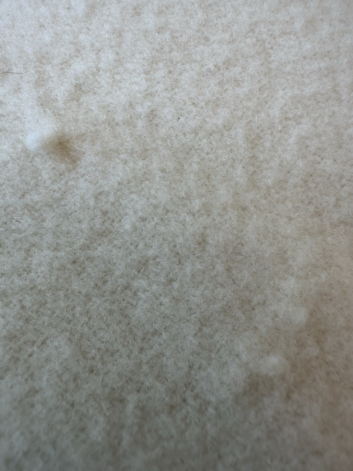 Picture 24 of 24