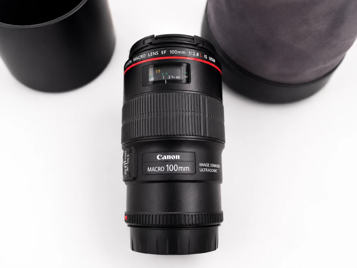 Canon EF f/2.8 100mm Focal Macro/Close Up Lenses for sale | eBay