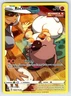 Rockruff TG07/TG30 2022 Silver Tempest Pokemon Card TCG Trainer Gallery Holo Nm