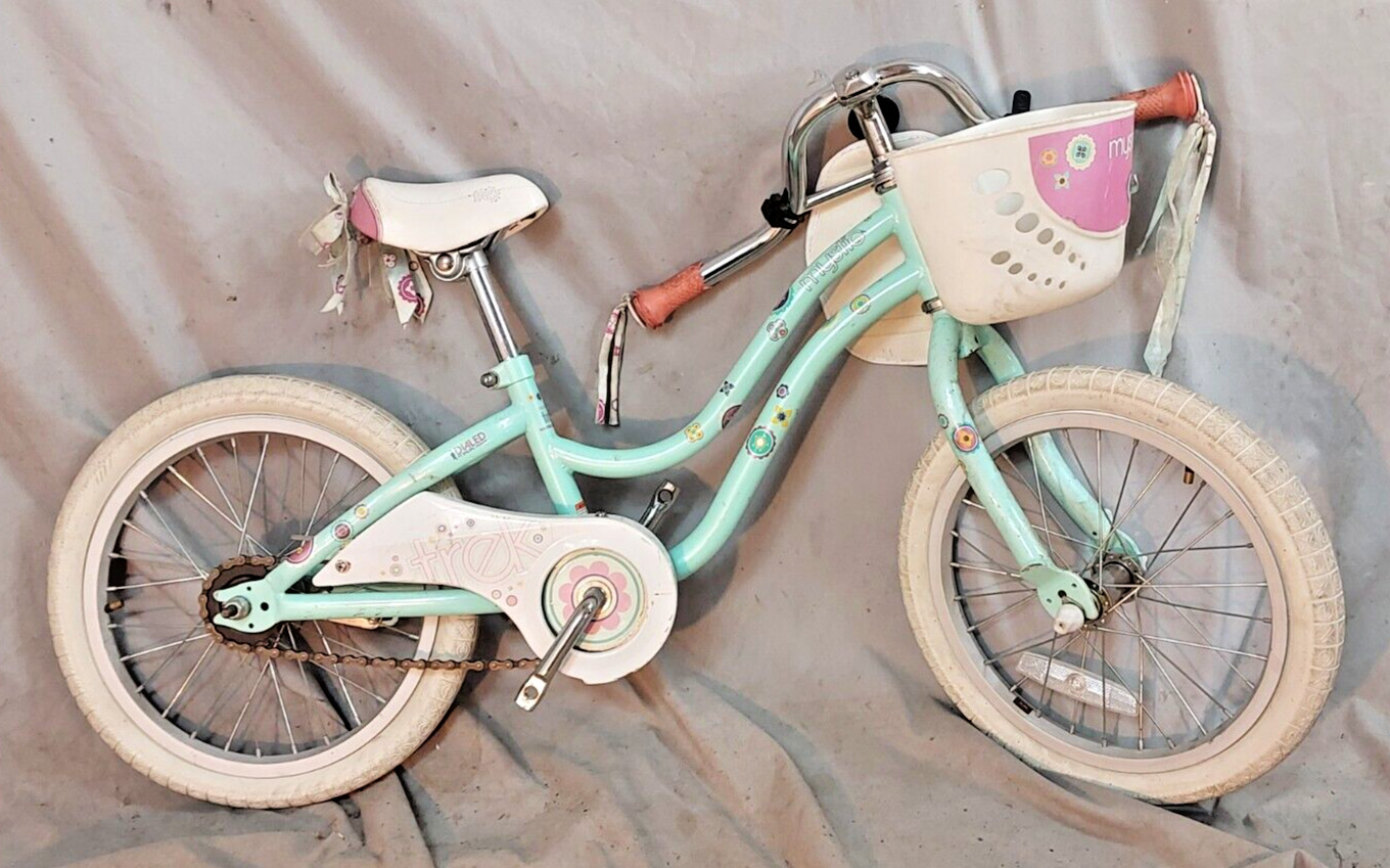 2008 Trek Mystic 16" Kids Bike Single Speed SS Coaster Steel Basket US Shipper