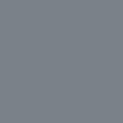 Tru-Color 284 Northern Pacific - NP Transport Gray, 1 oz. Solvent Based Acrylic