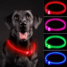 NOVKIN LED Dog Collar, Rechargeable Light Up Dog Collars,IP67 Waterproof Dog ...