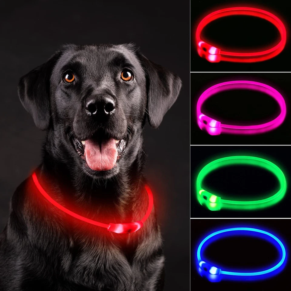 NOVKIN LED Dog Collar, Rechargeable Light Up Dog Collars,IP67 Waterproof Dog ...