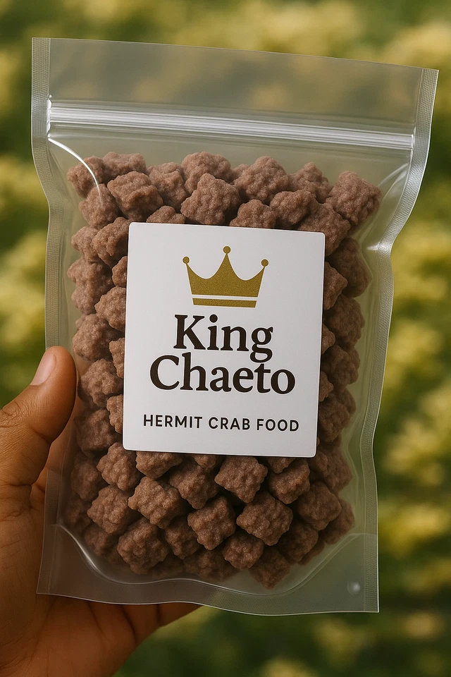 SUPER PAQUETE: 5 GRANDES limpiadores cangrejos ermitaños rayas delgadas + paquete Chaeto gratis Foto 2 de 4