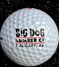 BIG DOG LUMBER Dual Logo COLLECTIBLE VINTAGE ...