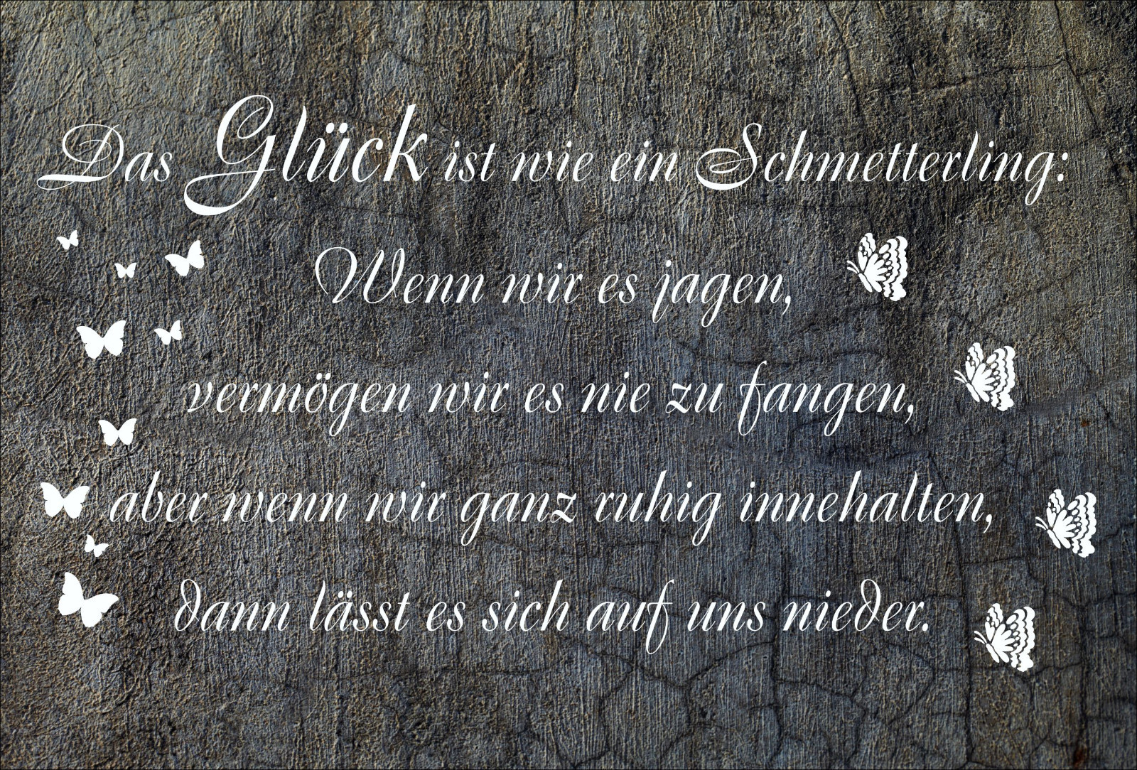 Dekoschild Glück Schmetterling Spruch Geschenk Schild Bild Zuhause