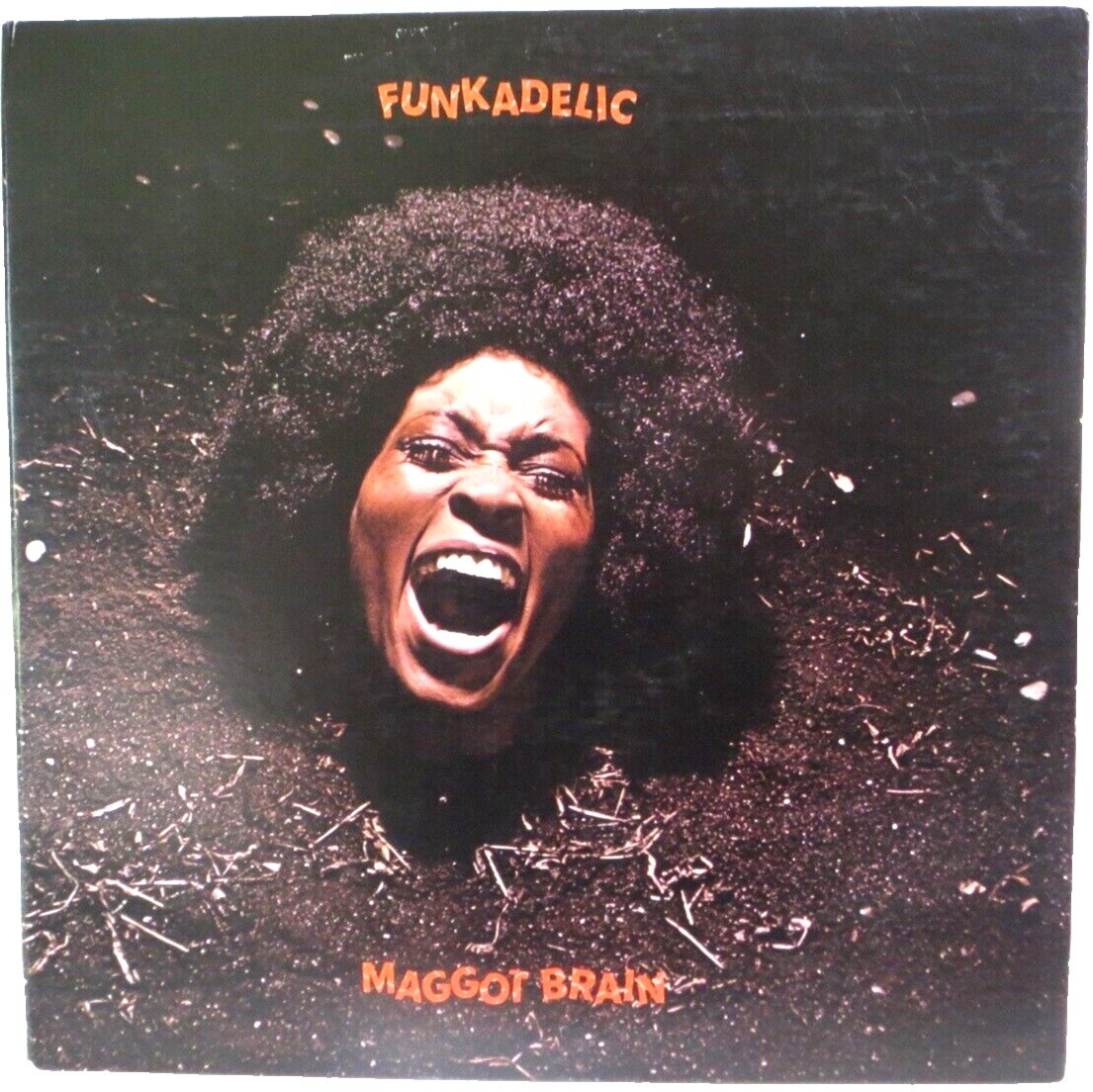 Parliament Maggot Brain レコード Parliament Maggot Brain レコード Amazon.com: Maggot Brain: 50th