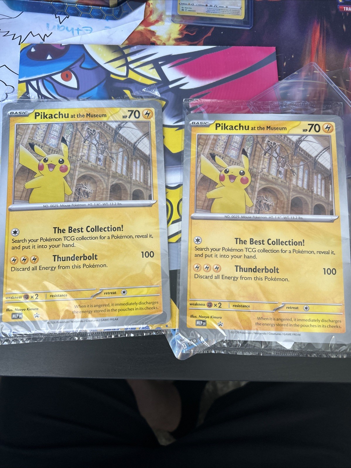 Pikachu At The Museum X2