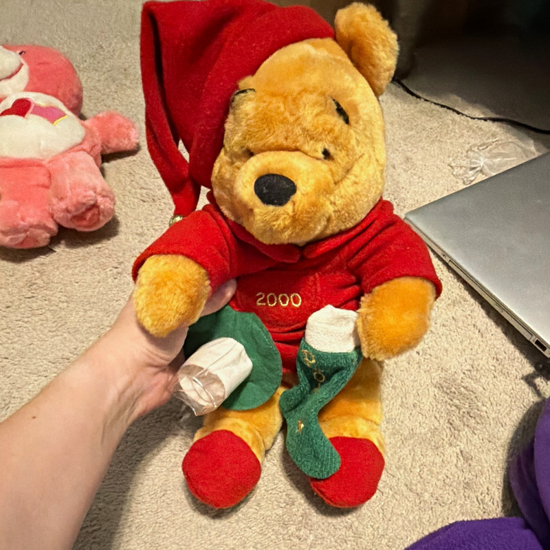Disney Winnie the Pooh Plush Small 6-14 in Christmas Santa Hat Stocking 2000