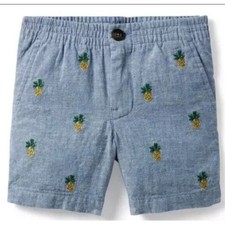 Janie and Jack Shorts 4 Chambray Linen Pineapple Embroidered Tropical Preppy