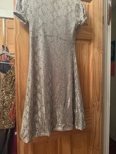 Sliver Cocktail dress
