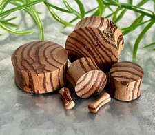 PAIR Zebra Wood Plugs Organic Earlets Tunnels Gauges Body Jewelry