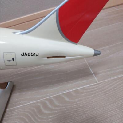 Gemini Jets Novelty 1/100 Pacmin Japan Airlines B787-8 Ja851J | eBay