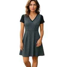 Banana Republic Womens Size 2 Tall Blue White Black Knit Pleated Dress