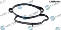 Dr. Motor Automotive DRM0614 Dichtung, Drosselklappe FüR Ford