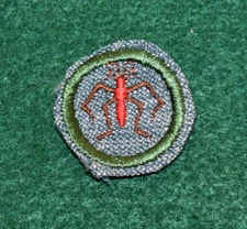  GIRL SCOUT BADGE - SILVER GREEN - FRESH WATER LIFE FINDER - NEW AND UNSEWN