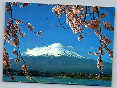 Postcard 1980s Mt Fuji Cherry Blossoms Kawaguchiko Lake Japan